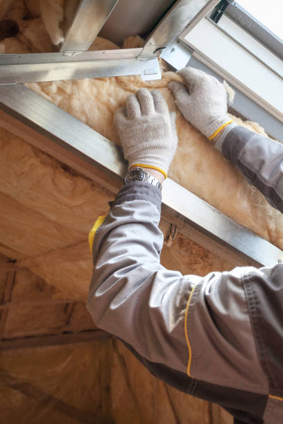 Best DIY Insulation Kits and Guidance in Lahoma City, OK