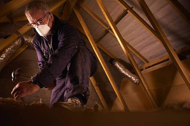 Types of Insulation We Offer in Oklahoma City, OK